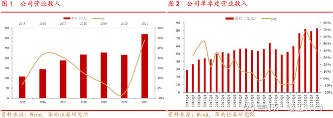 太阳纸业 业绩稳健增长，林浆纸一体化战略深化未来可期
